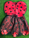 Ladybug Frock With Wings