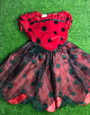 Ladybug Frock With Wings