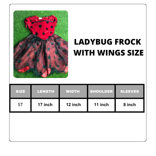 Black_White_Elegant_Monogram_Initial_Name_Logo.png Ladybug Frock With Wings - Image 3