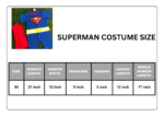 Superman Costume - Image 2