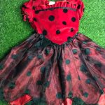 Ladybug Frock With Wings