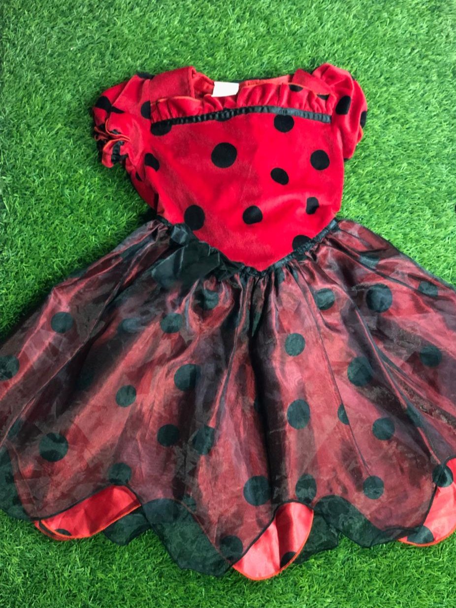 cc8dfc7c-5c3b-4820-b447-da29e5a04a5a.jpg Ladybug Frock With Wings - Image 1